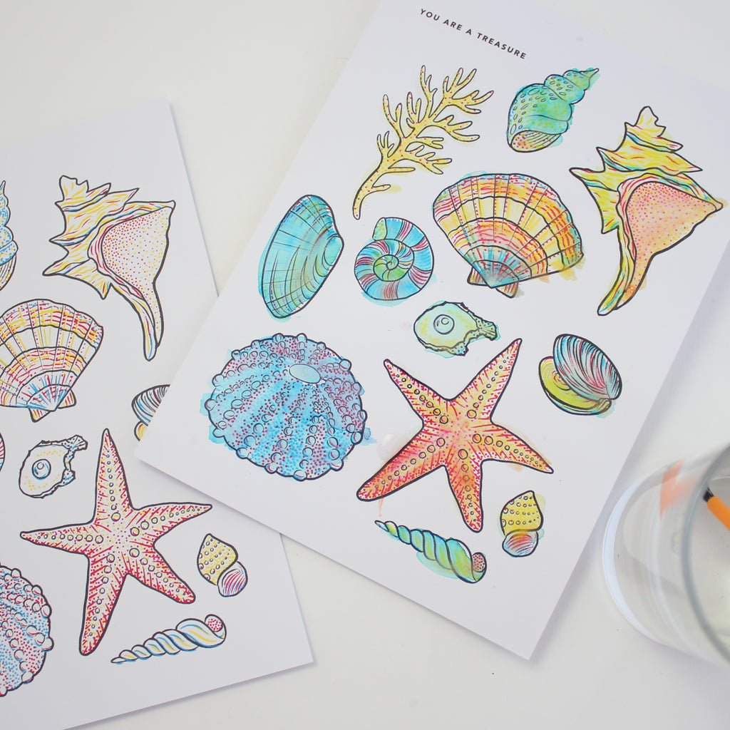 Paint With Water Card - Seashells