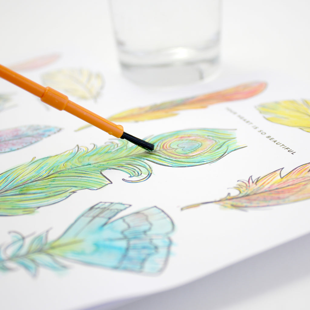 Paint With Water Card - Feathers