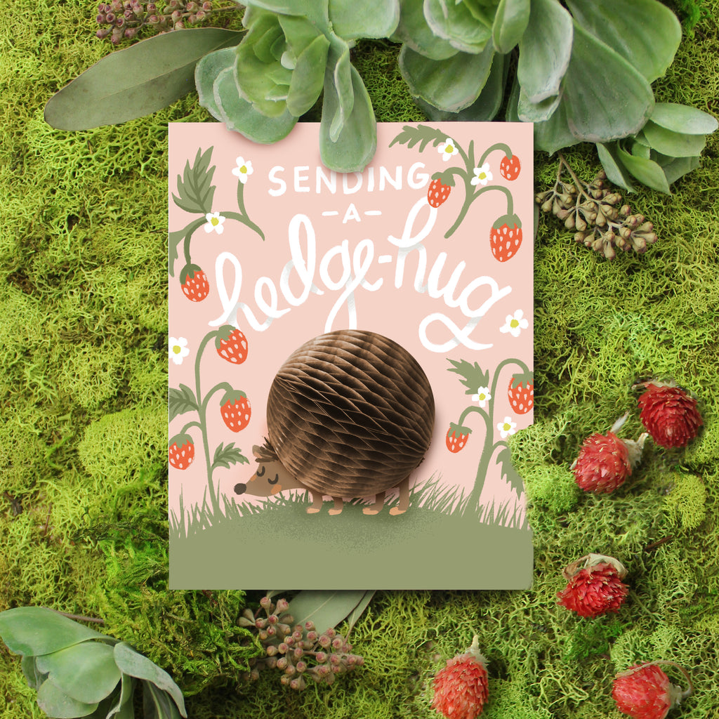 Hedgehog, Animal Card, Love card, Card for Kids, Birthday, Just because, everyday card, Friendship, Get Well, Encouragement 